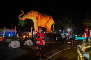 BIB: 
                            <button type="button" onclick="openModal(26552390)" class="btn btn-primary btn-sm float-right btn-popup" data-toggle="modal" data-target=".modal-high-quality">
                        <i class="fas fa-shopping-cart"></i> Add to Cart
                    </button>
                                            <button type="button" onclick="isThisMe(26552390, true)" class="btn btn-success btn-sm float-right btn-popup btn-isme hidden" data-toggle="tooltip" data-placement="bottom" title="นี่คือรูปของคุณใช่ไหม คลิกที่นี่เพื่อเอาเข้าอัลบั้ม">
                        <i class="fas fa-plus"></i> Add to album
                    </button>
                    <button type="button" onclick="isThisMe(26552390, false)" class="btn btn-warning btn-sm float-right btn-popup btn-isnotme hidden">
                        <i class="fas fa-ban"></i> Remove from album
                    </button>